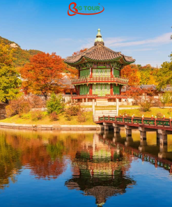 Tour Hàn Quốc Mùa Lá Đỏ (Seoul - Đảo Nami - Everland) 5 Ngày 4 Đêm